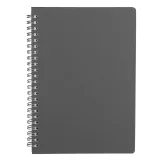 Siva